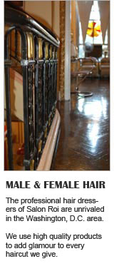 Beauty salon Hair Services